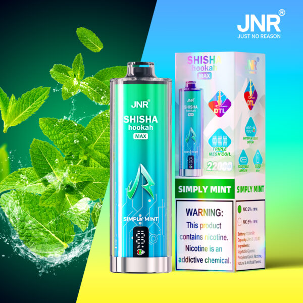 JNR Shisha Max 22K, saveur « Simply Mint »