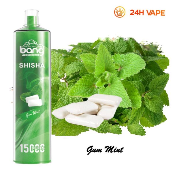 Produktbild von Bang SHISHA 15K
