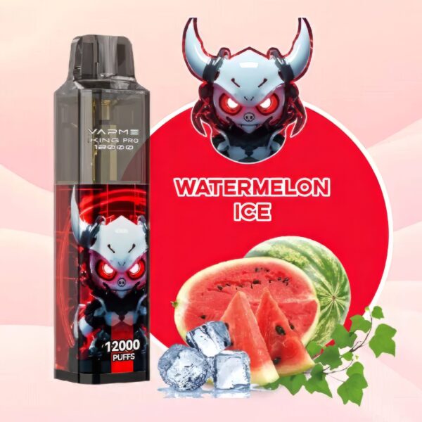 VAPME King Pro 12Kのディスプレイと操作部